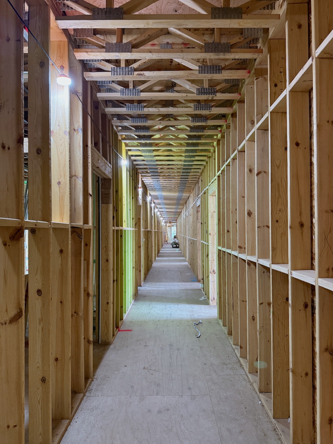 Wood framing progress — 1529 Fremont Chicago